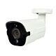 Videobewakingscamera PNI IP818JS, POE